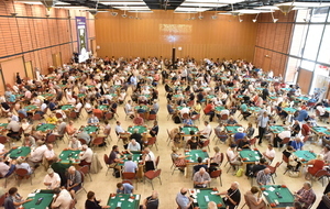 crop_67498a6242cd6_salle-de-jeu
