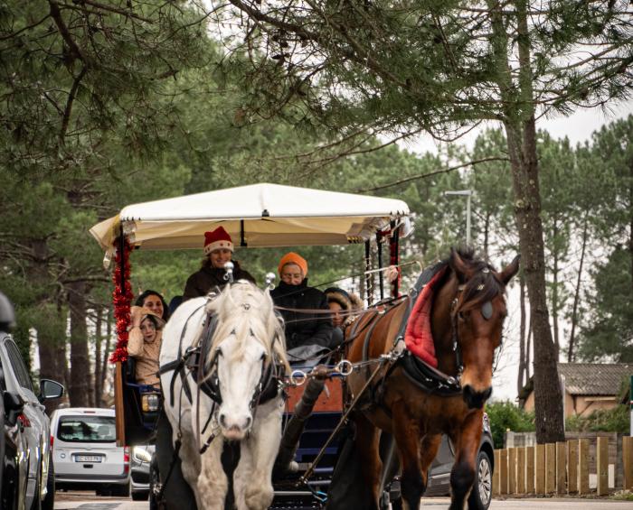 HOSSEGOR_2024_NOEL_PDBR-2