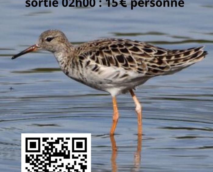 Votre texte de paragraphe - SORTIES LAC